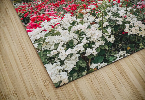 Flowers Kerry Elaine Photography puzzle