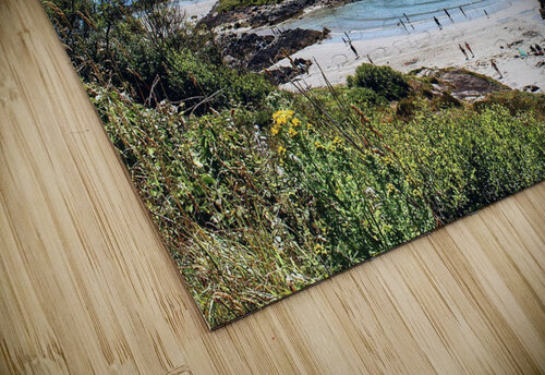 Ring Of Kerry Waters Kerry Elaine Photography puzzle