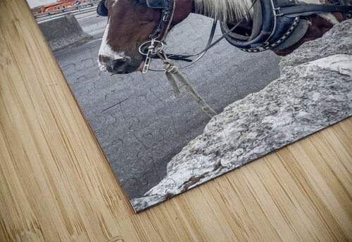 Horse Kerry Elaine Photography puzzle