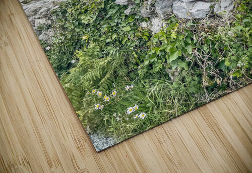 Ireland Kerry Elaine Photography puzzle
