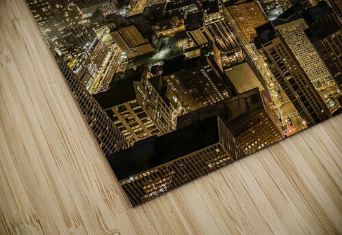 Chicago Kerry Elaine Photography puzzle