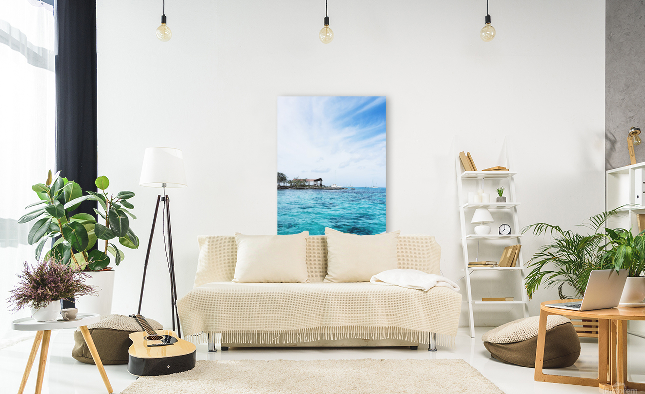Catamaran View Reproduction