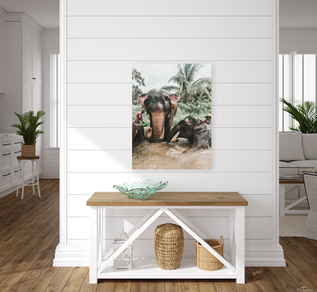 Elephants Reproduction