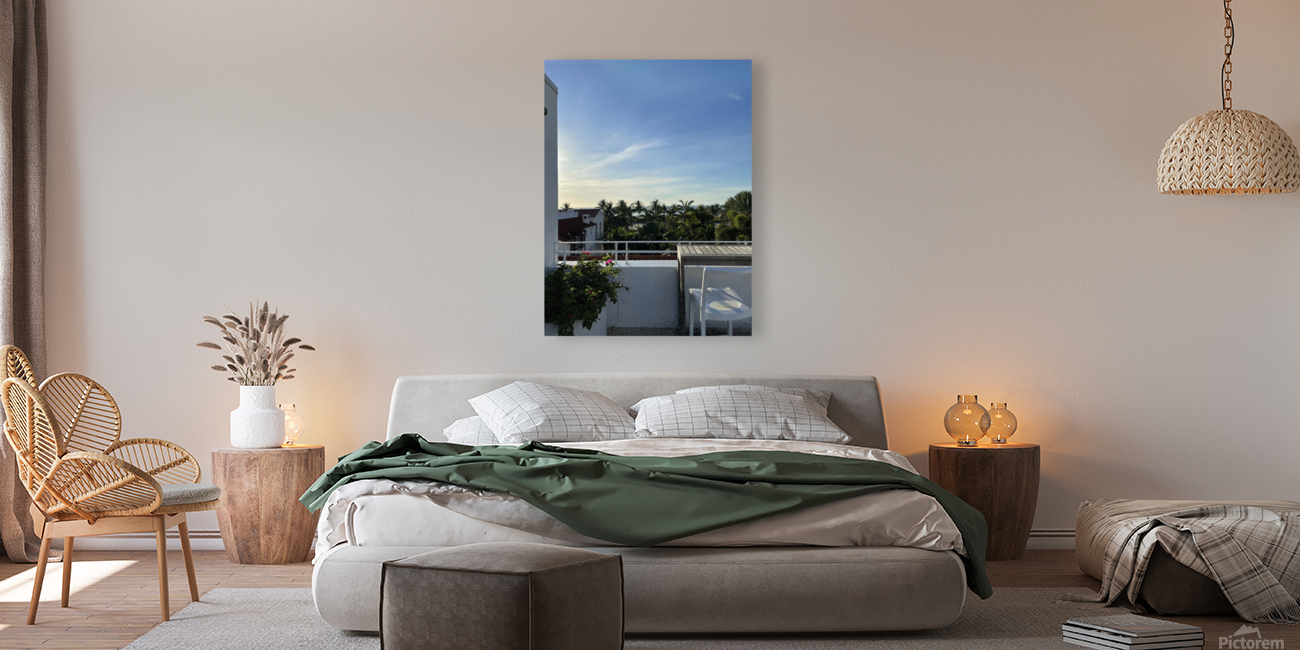 Miami skies Reproduction