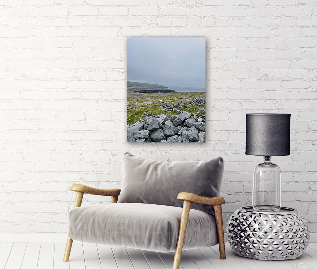 Aran Islands Reproduction