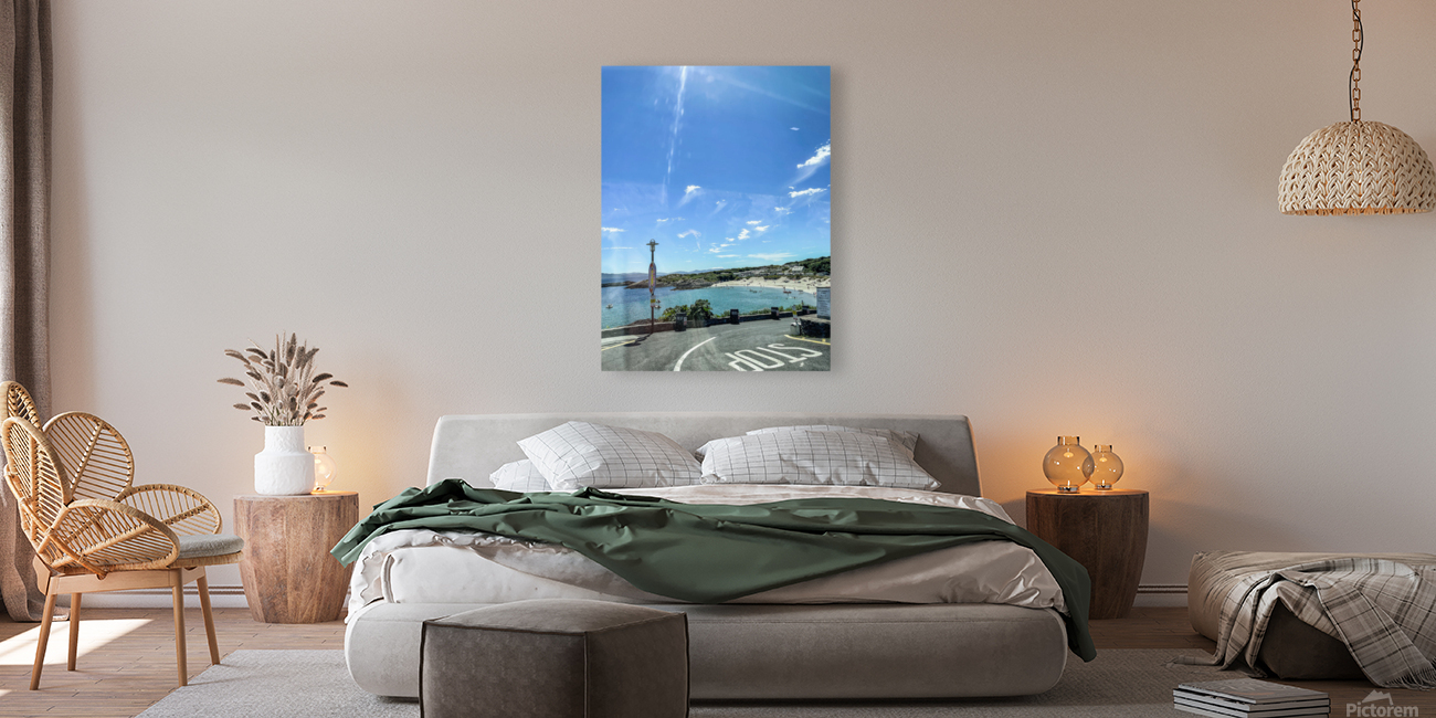 Beach Reproduction