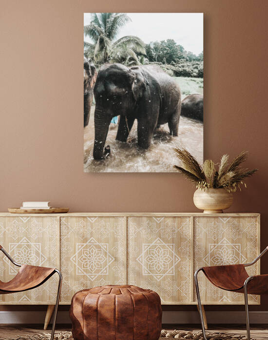 Elephant Reproduction