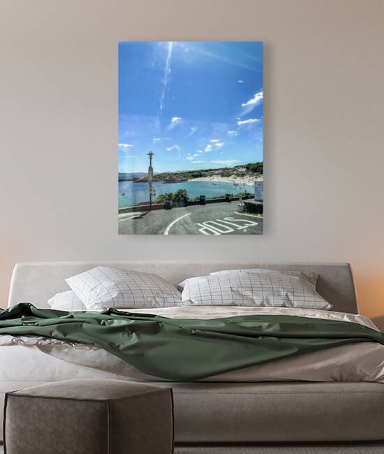 Beach Reproduction