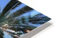Miami HD Metal print