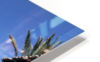 Sky Pool HD Metal print