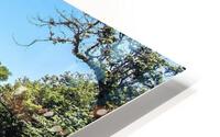 Lake HD Metal print