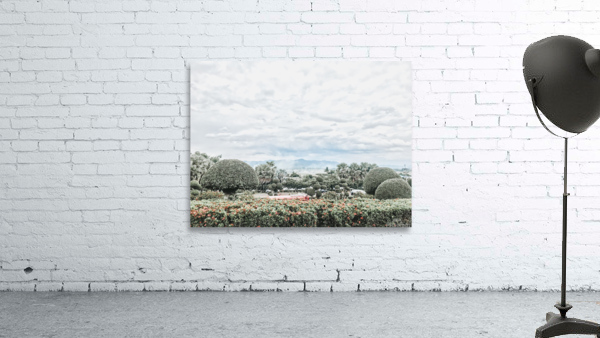 Nature Wall Preview
