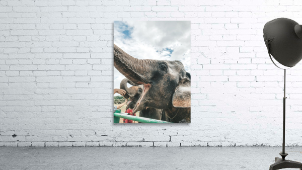 Elephant Wall Preview