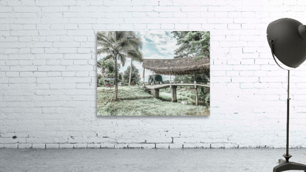 Elephant Walking Wall Preview
