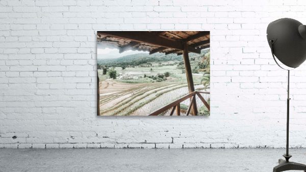 Rice Fields Wall Preview