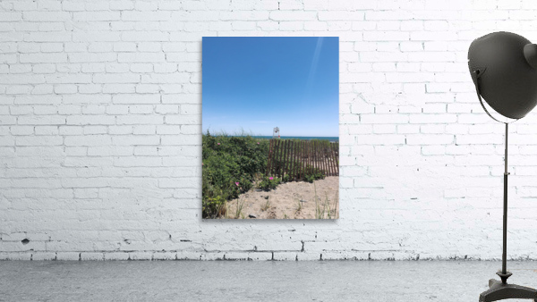 Newport Wall Preview