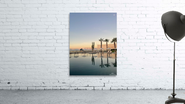Cactus Wall Preview