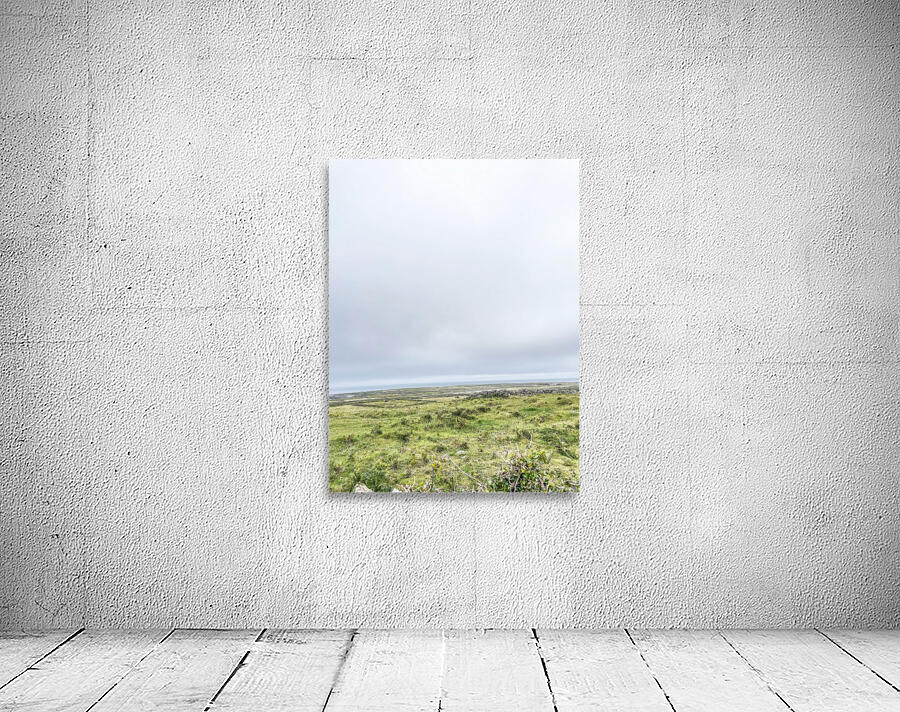 Old Ireland Wall Preview