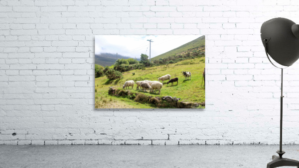 Sheep Wall Preview