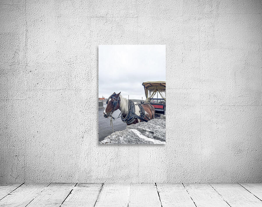 Horse Wall Preview