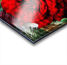 Rose manipulation  Acrylic print