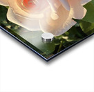 Rose Pichu Acrylic print