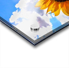 Sunflower Acrylic print