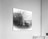 Monochrome Acrylic Print