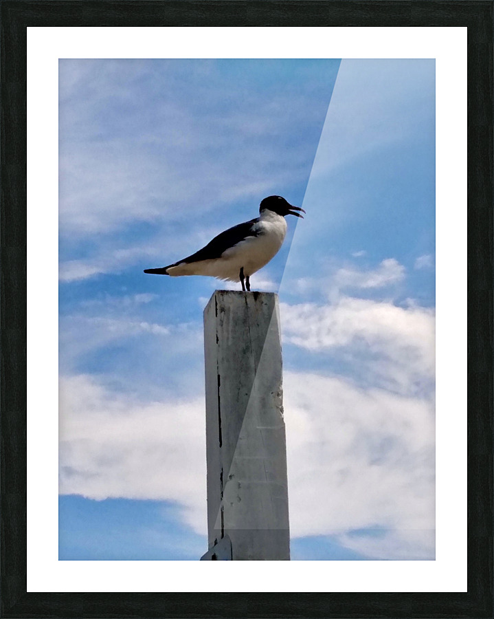 Some bird somewhere Picture Frame print