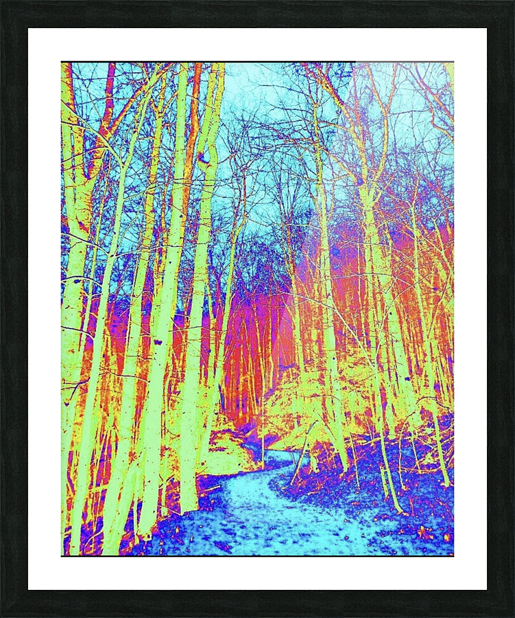 The path Seneca Rocks Picture Frame print