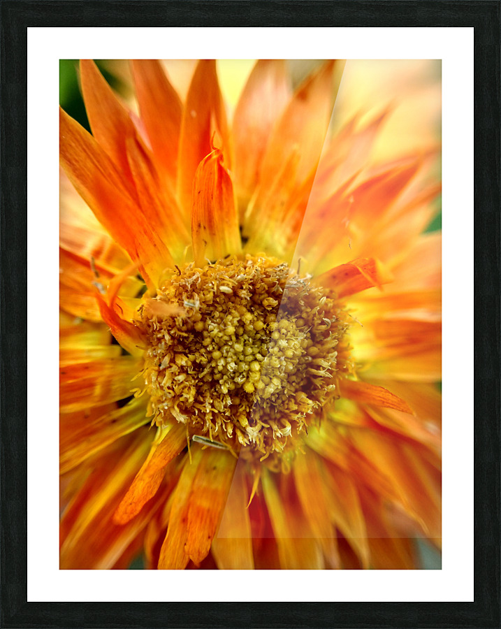Sunburst Picture Frame print