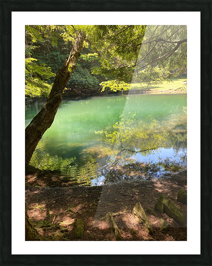 Zen Picture Frame print