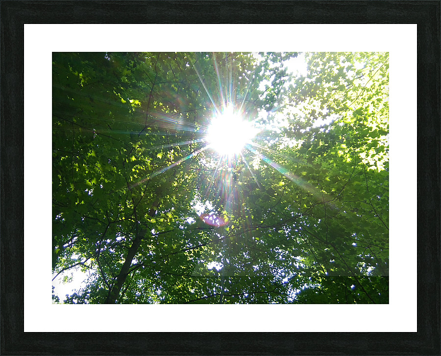 RAYS Picture Frame print
