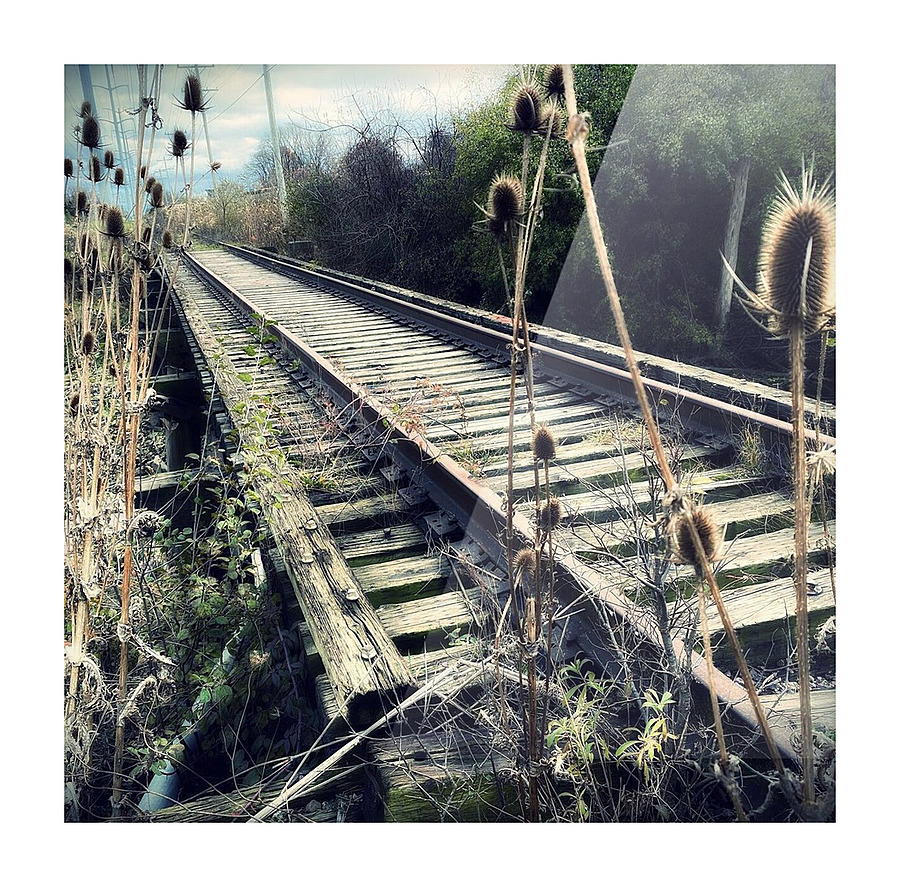The path less traveled Picture Frame print