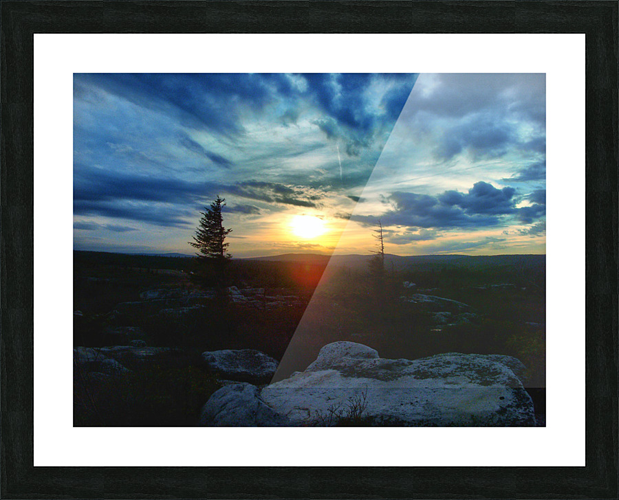 Dolly sods Picture Frame print