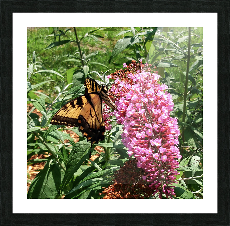 Flower Child Picture Frame print