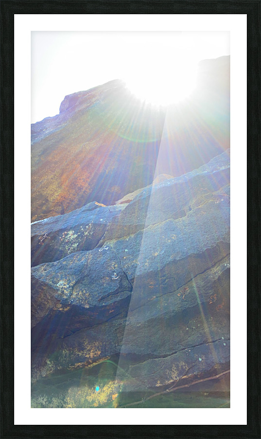 Sunny disposition Picture Frame print