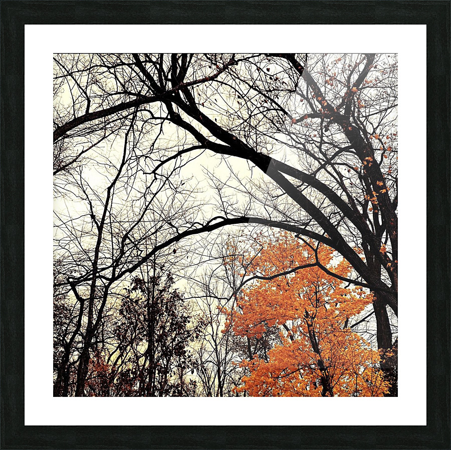 This is Halloween Picture Frame print
