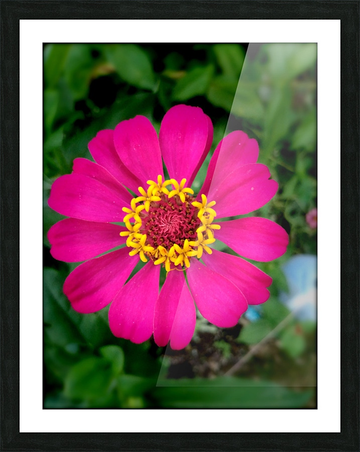 Be vibrant Picture Frame print