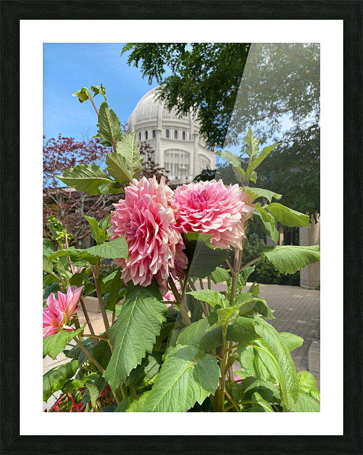 bahai temple Picture Frame print