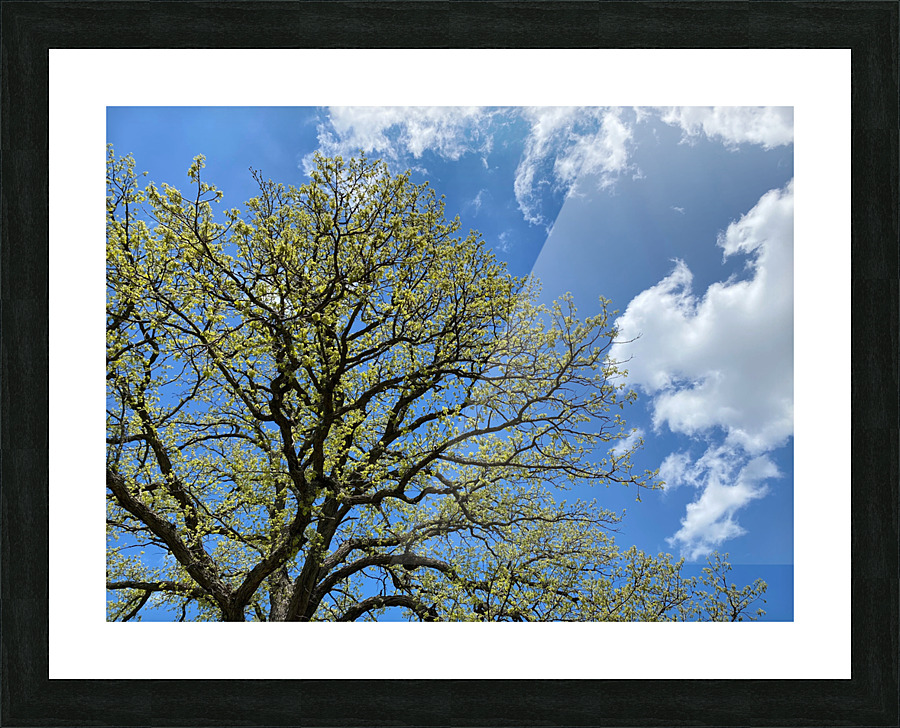 Picnic Picture Frame print
