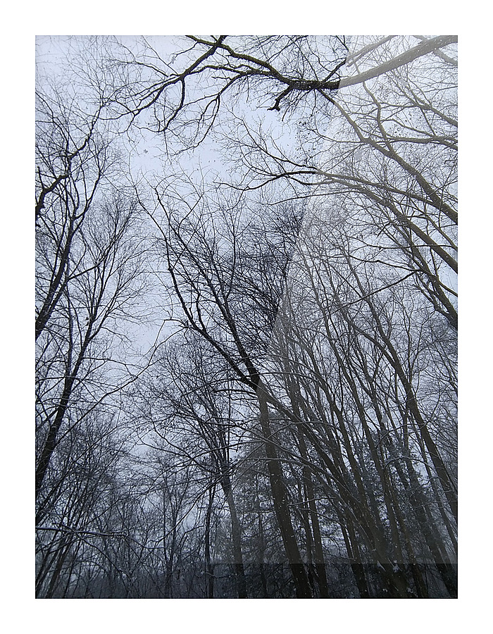 A long december Picture Frame print