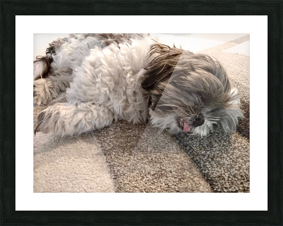 Sleeperoni Picture Frame print