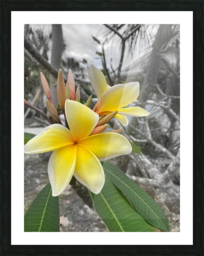 Calm before the storm Picture Frame print