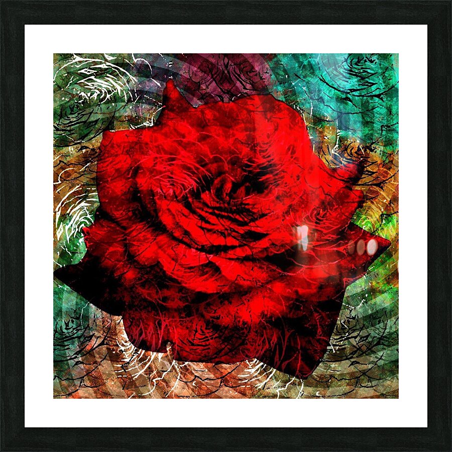 Rose manipulation  Picture Frame print