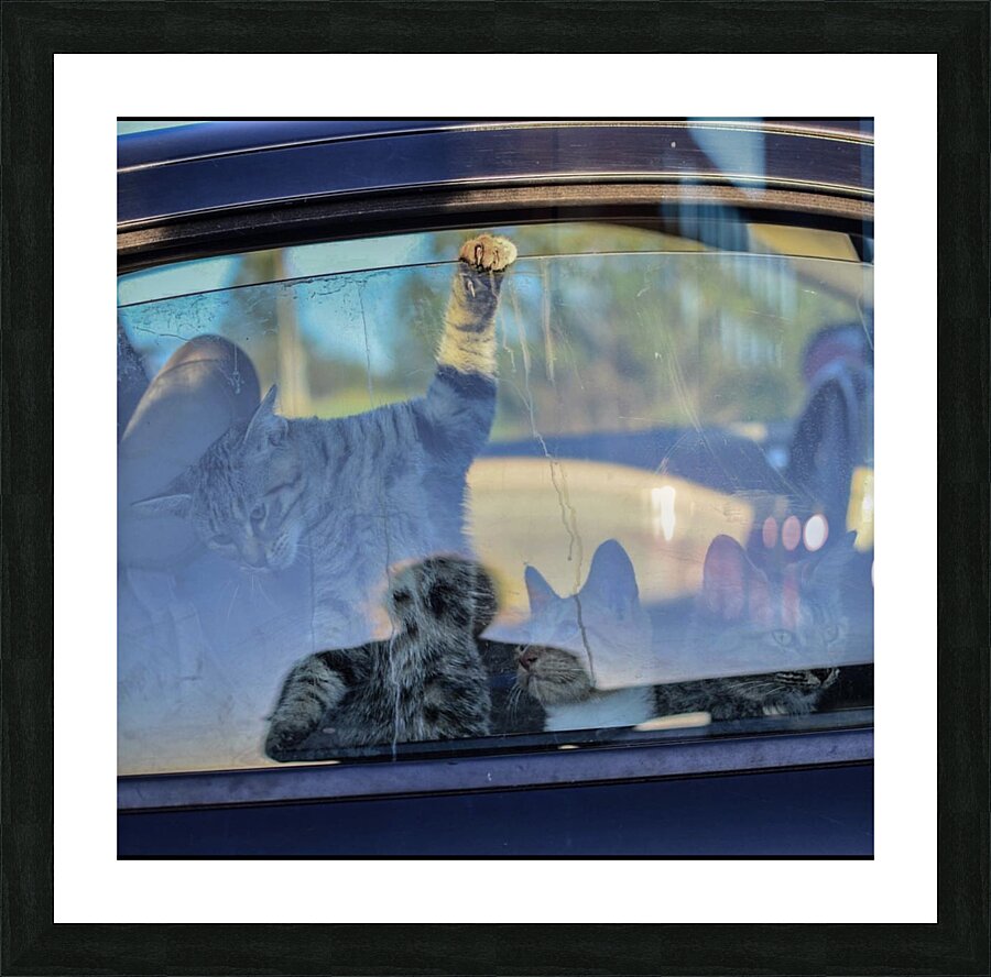 Road trippin’ Picture Frame print