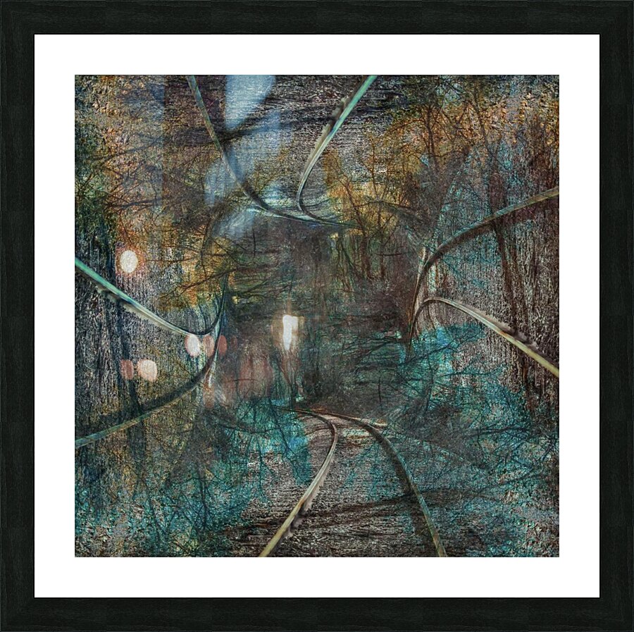 Symmetry  Picture Frame print