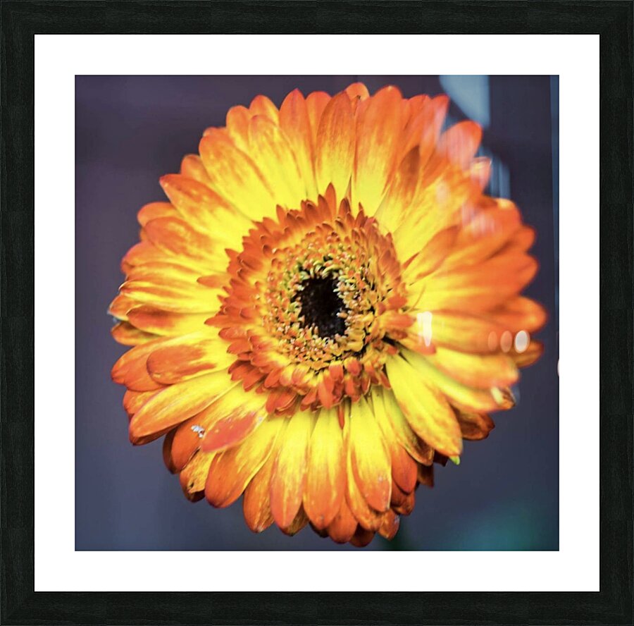 Flower Picture Frame print