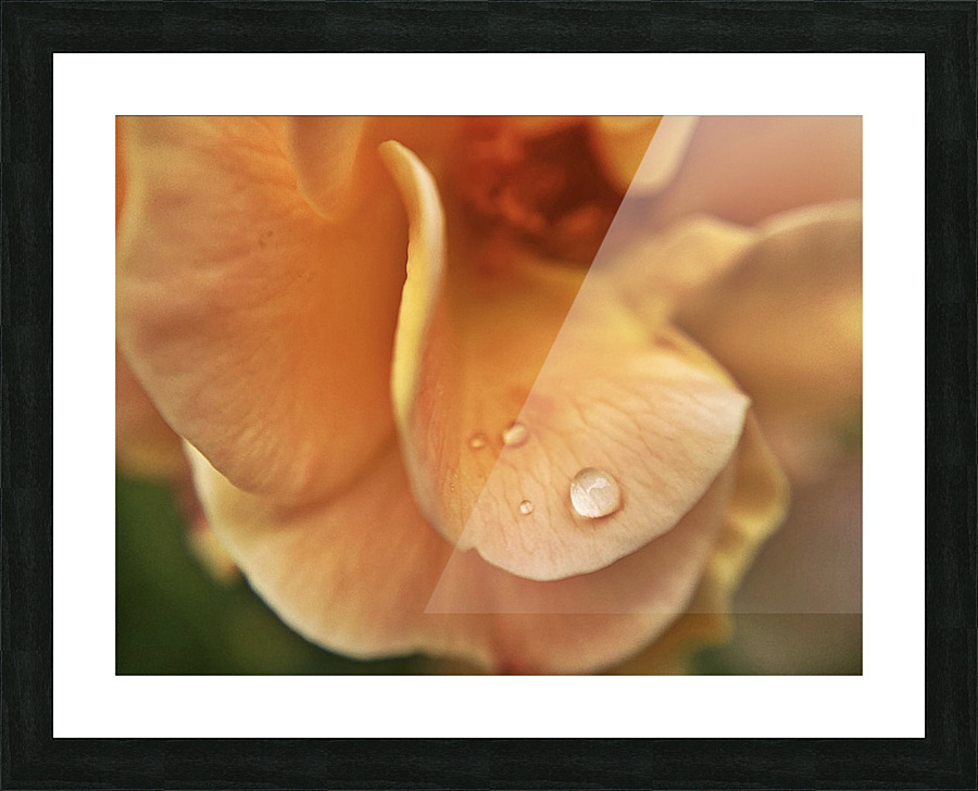 rain drop Picture Frame print