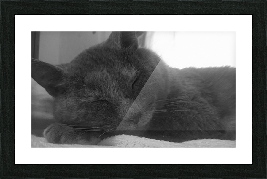 Meowser Picture Frame print